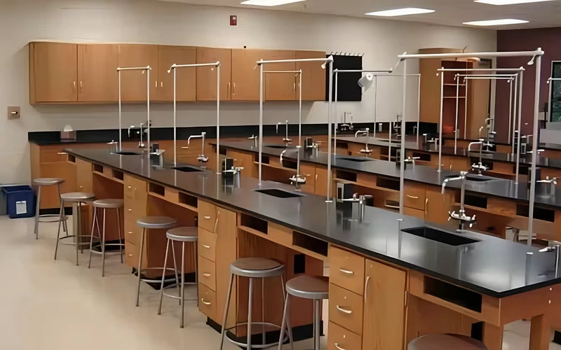 Custom Laboratory Woodwork in Educational Chemistry Lab Setting